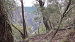 20-Views of the Chandler River in the Oxley Wild Rivers NP